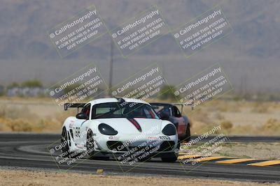 media/Mar-30-2025-Pro Autosports (Sun) [[34ff8f16e0]]/2-Blue-White Group/Main Race/